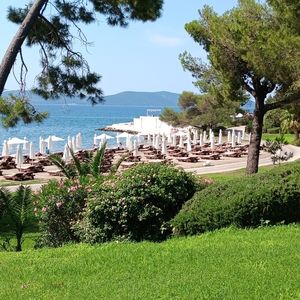 Meet your Posher, Angie